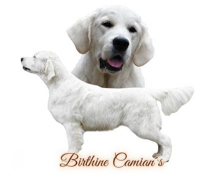 birthine klik